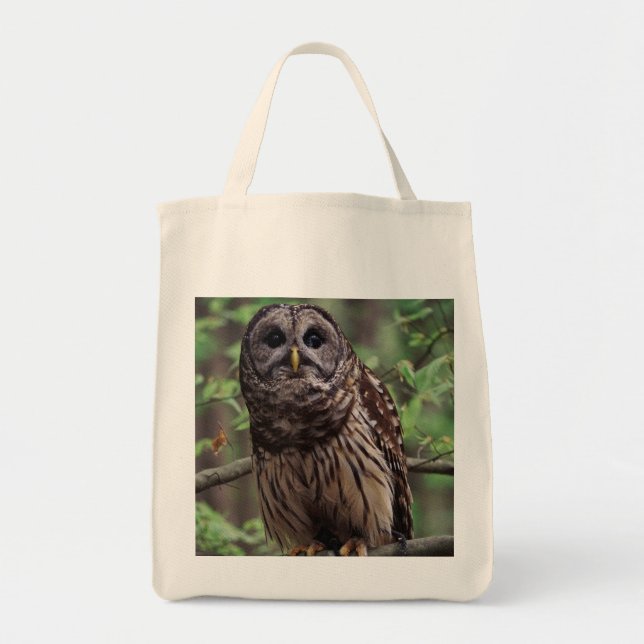 Barred Owl Tote Bag (Front)