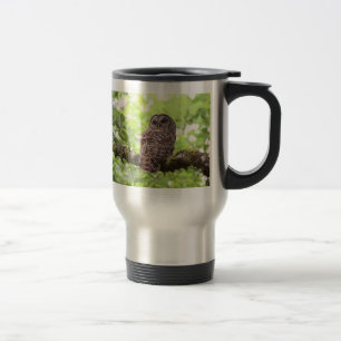 Barred Owl Travel Mug