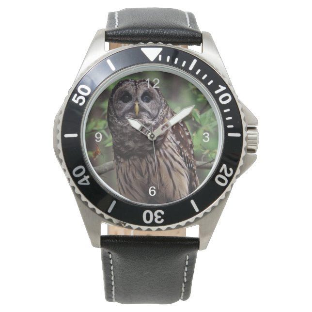 Barred Owl Watch (Front)