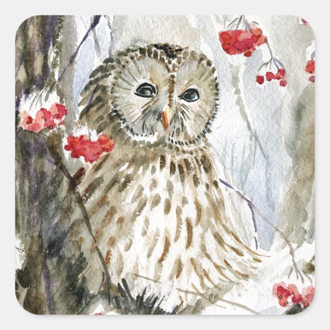 Barred Owl watercolor painting Square Sticker (Front)