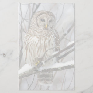 Barred Owl with a light snowfall Stationery