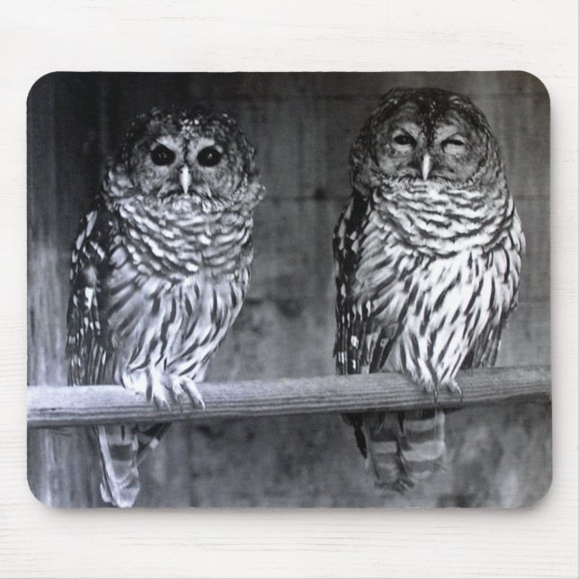 Barred Owls Mouse Mat (Front)