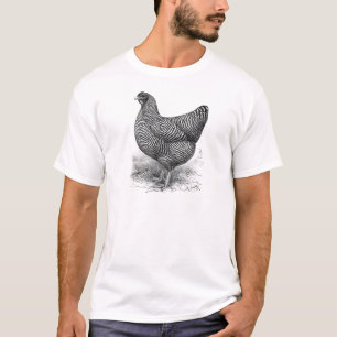 barred plymouth rock hen T-Shirt