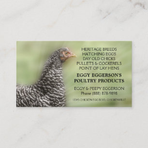 Barred Rock Chicken Egg Farmer Business Card