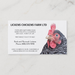 Barred Rock Chicken Egg Farmer Business Card