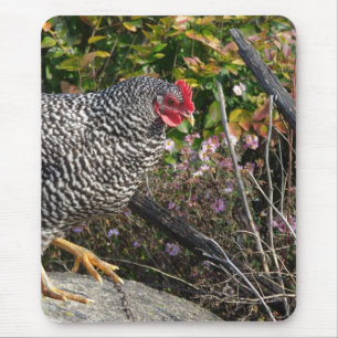 Barred Rock Hen Mouse Mat