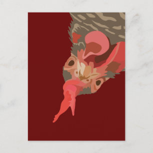 Barred-Rock Hen Postcard