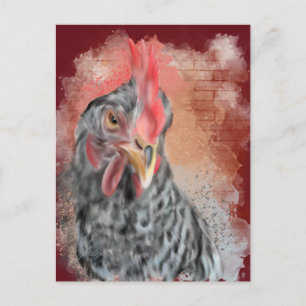 Barred Rock Hen Postcard