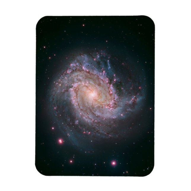 Barred Spiral Galaxy Messier 83. 2 Magnet (Vertical)