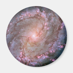 Barred Spiral Galaxy Messier 83. Magnet