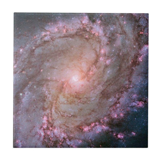Barred Spiral Galaxy Messier 83. Tile (Front)