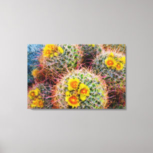 Barrel cactus close up, California Canvas Print