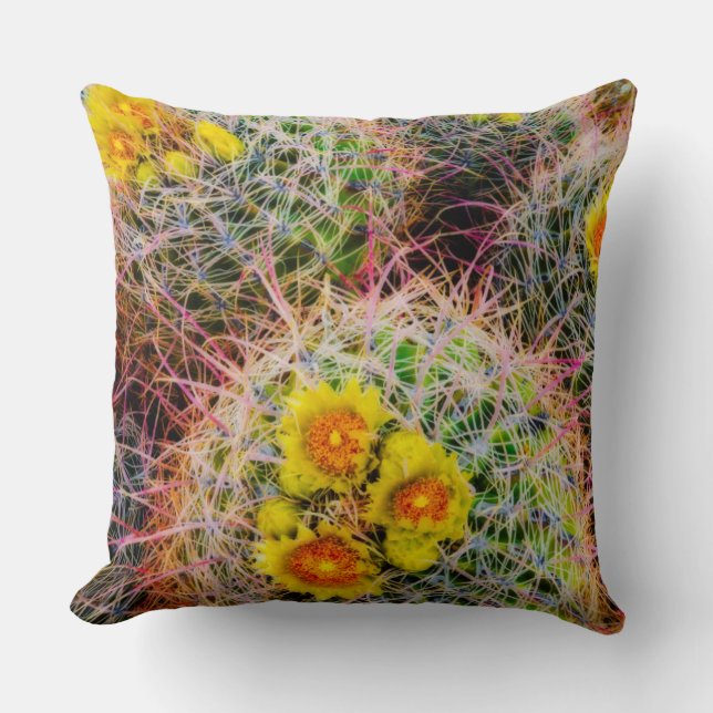 Barrel cactus close up, California Cushion (Front)