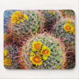 Barrel cactus close up, California Mouse Mat