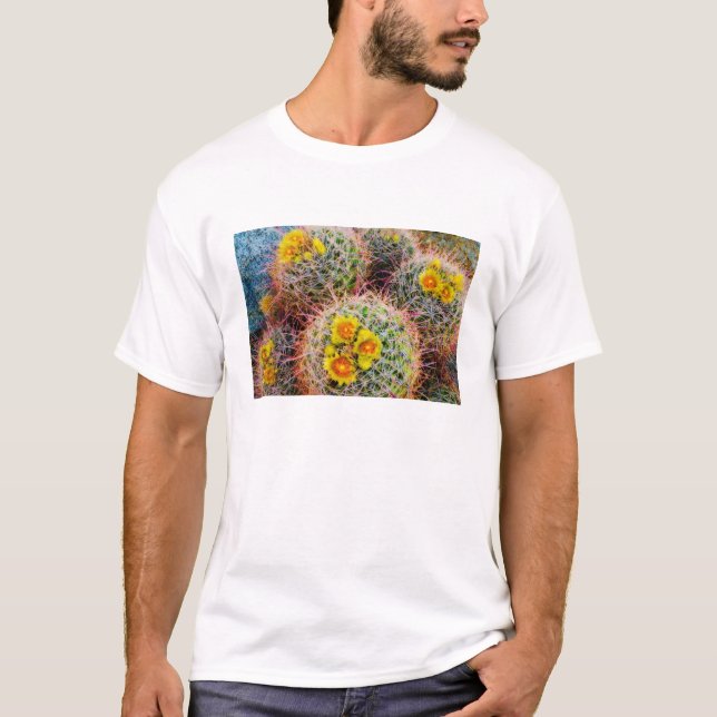 Barrel cactus close up, California T-Shirt (Front)