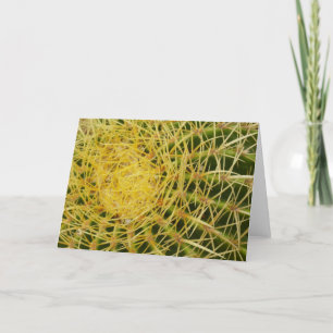 Barrel Cactus Closeup Abstract Nature Photography Card