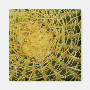 Barrel Cactus Closeup Nature Photography Magnet