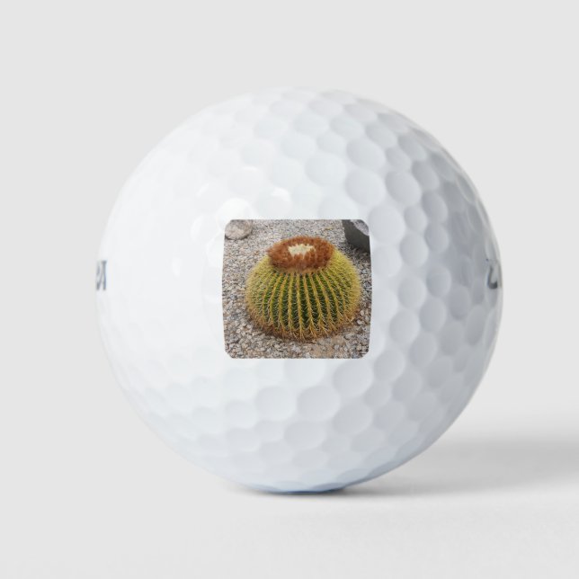 Barrel Cactus Golf Balls (Front)