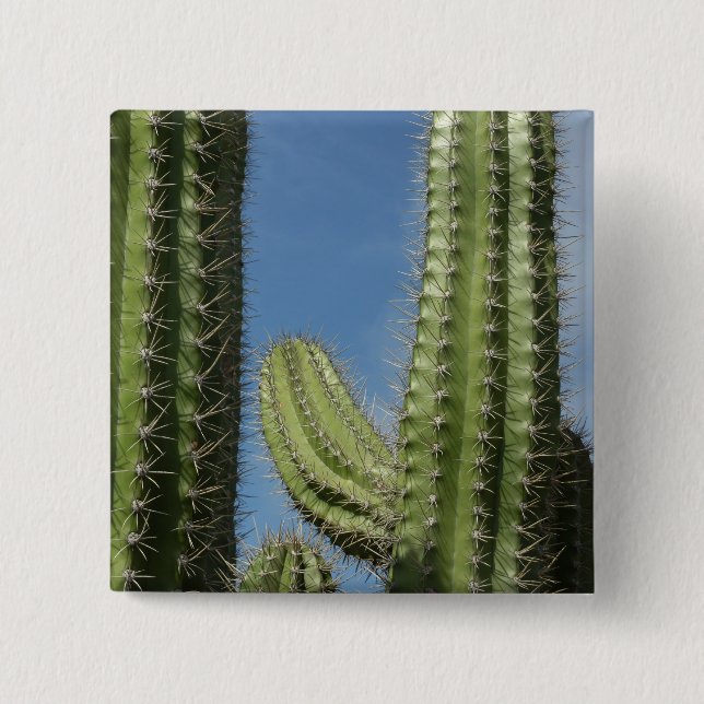 Barrel Cactus I Desert Photo 15 Cm Square Badge (Front)