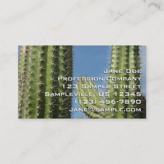 Barrel Cactus I Desert Photo Business Card