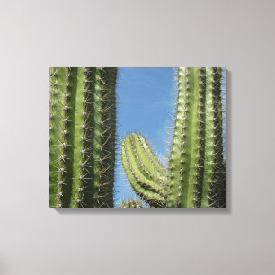 Barrel Cactus I Desert Photo Canvas Print