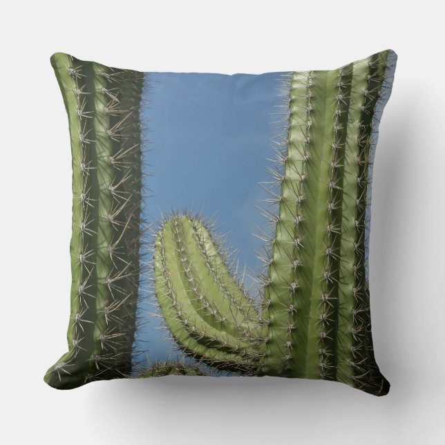 Barrel Cactus I Desert Photo Cushion (Front)
