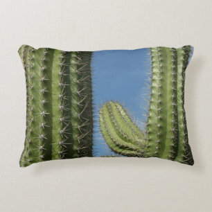 Barrel Cactus I Desert Photo Decorative Cushion