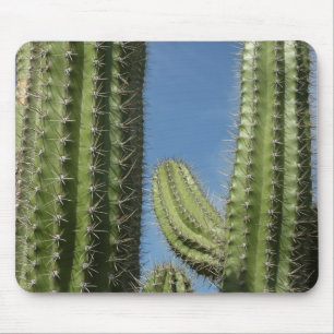 Barrel Cactus I Desert Photo Mouse Mat