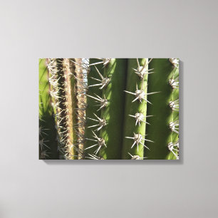 Barrel Cactus II Desert Nature Photo Canvas Print