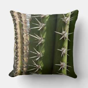 Barrel Cactus II Desert Nature Photo Cushion