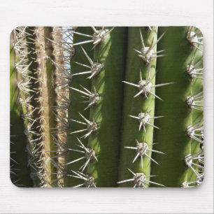 Barrel Cactus II Desert Nature Photo Mouse Mat