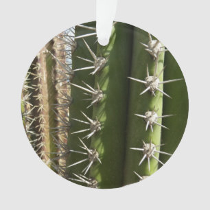Barrel Cactus II Desert Nature Photo Ornament