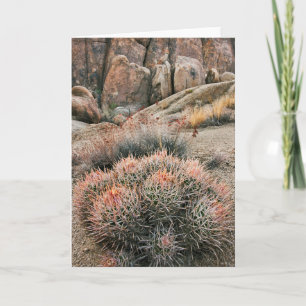 Barrel Cactus In California Card