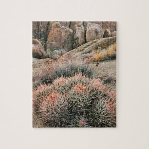 Barrel Cactus In California Jigsaw Puzzle