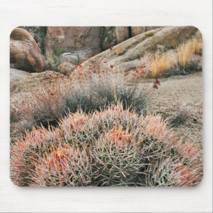 Barrel Cactus In California Mouse Mat