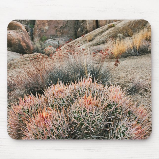 Barrel Cactus In California Mouse Mat (Front)