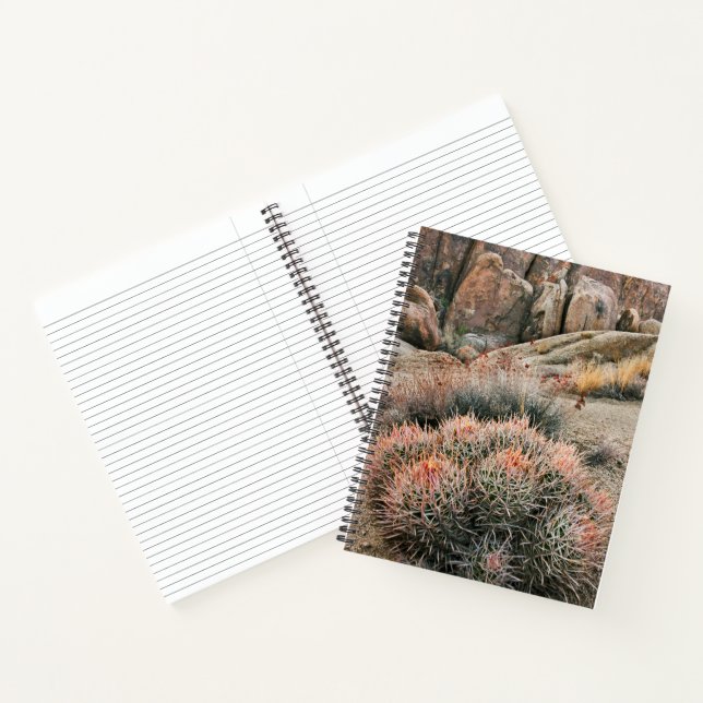 Barrel Cactus In California Notebook (Inside)