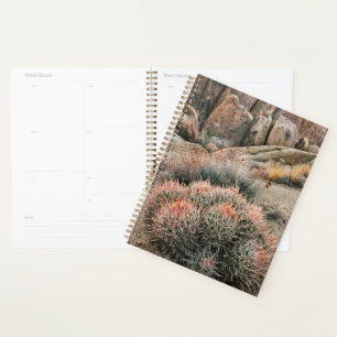 Barrel Cactus In California Planner
