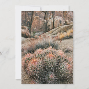 Barrel Cactus In California Thank You Card