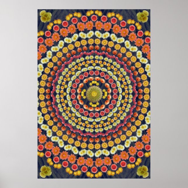 BARREL CACTUS MANDALA 3 POSTER (Front)