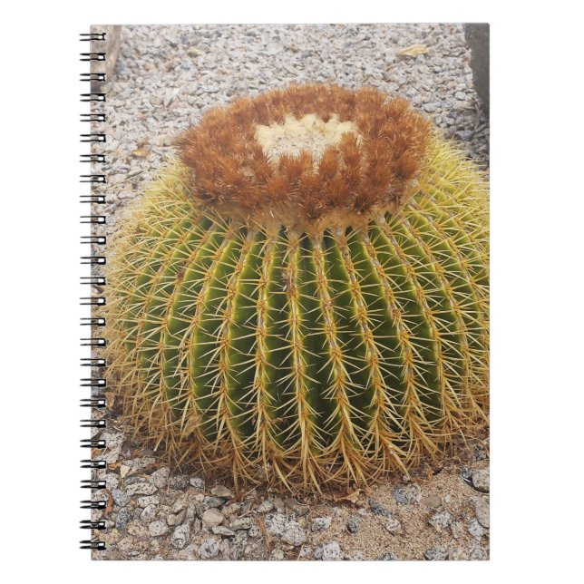 Barrel Cactus Notebook (Front)