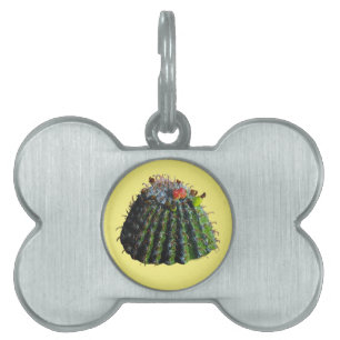 Barrel Cactus Pet Tags