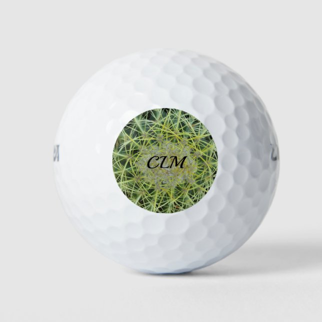 Barrel Cactus Photo Southwest Desert Monogram Golf Balls (Front)