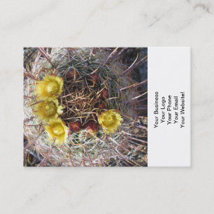 Barrel Cactus Plant Fishhook Yellow Business Card