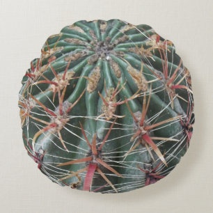 Barrel Cactus Southwest Cacti Desert Plants Round Cushion