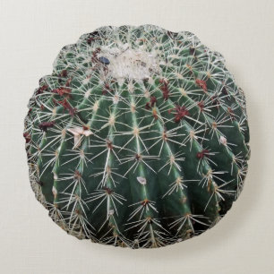 Barrel Cactus Southwest Design Desert Plants Round Cushion