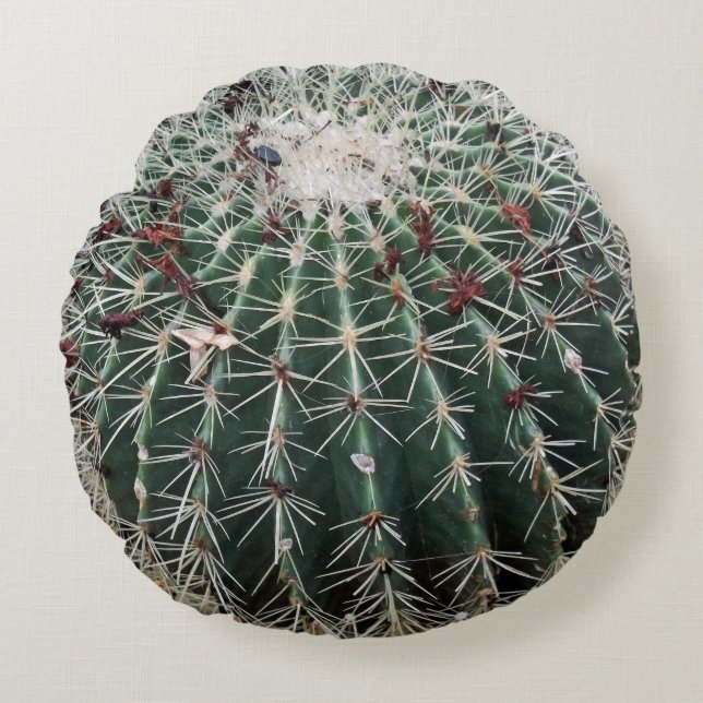 Barrel Cactus Southwest Design Desert Plants Round Cushion (Front)