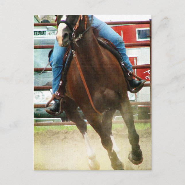 Barrel Race Horse Postcard (Front)