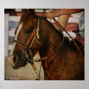 Barrel Race Horse Poster
