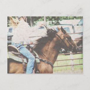 Barrel Racing Horse Postcard